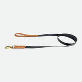 Luxe waterproof dog leash